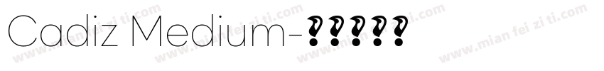 Cadiz Medium字体转换